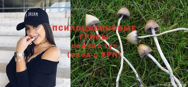 ALPHA-PVP Алексин