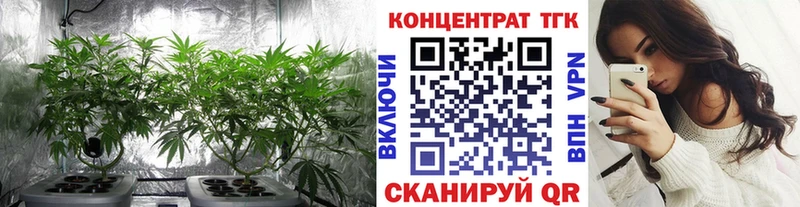 ТГК Wax  кракен ТОР  Бабушкин 