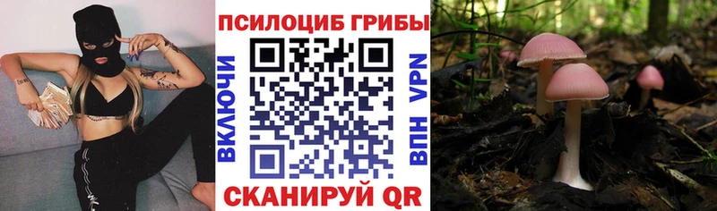 наркота  hydra ссылка  Псилоцибиновые грибы мицелий  Бабушкин 